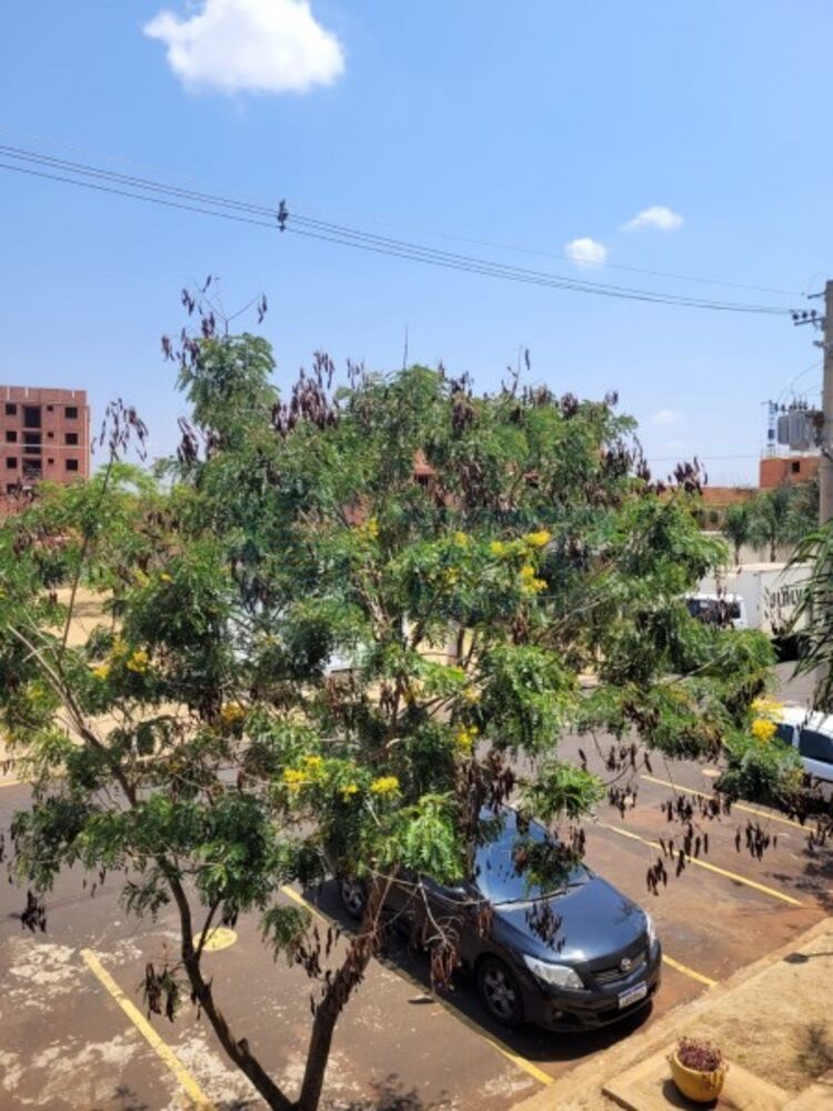 Apartamento - Foto 7