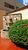 Apartamento - Foto 2