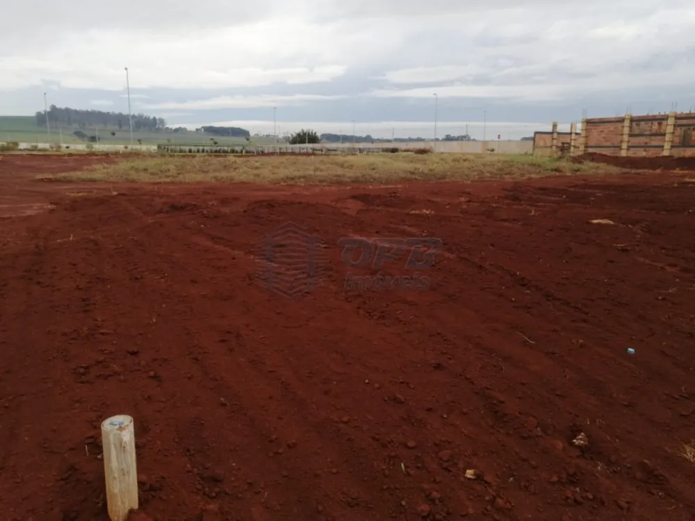 Terreno - Foto 5