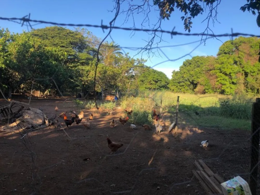 Chácara - Foto 7