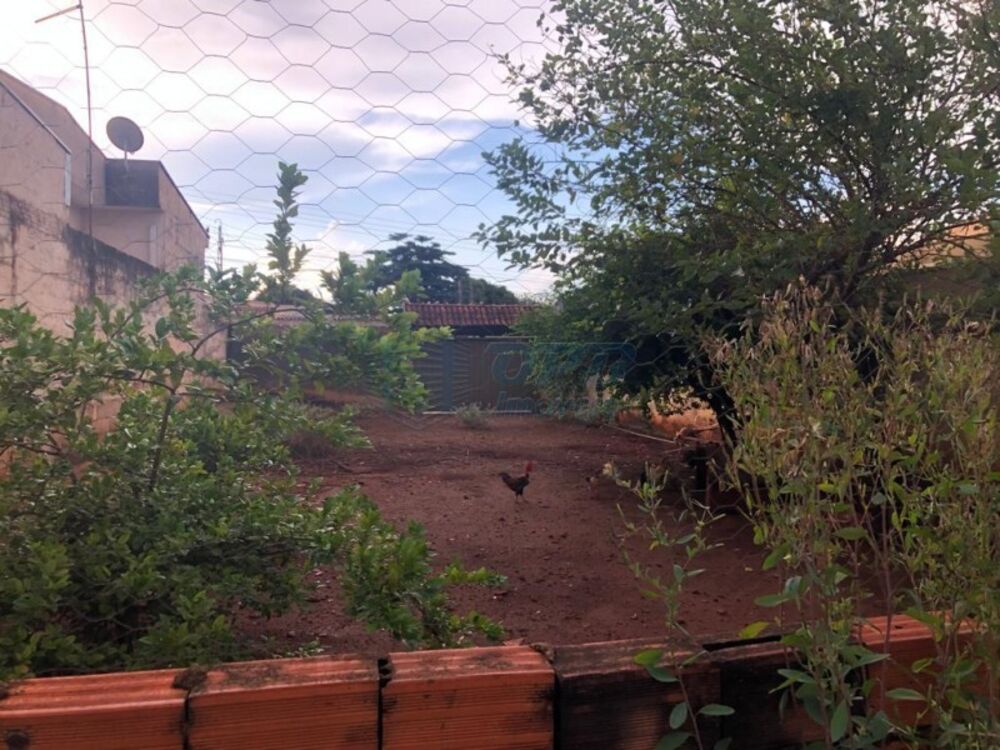 Terreno - Foto 3