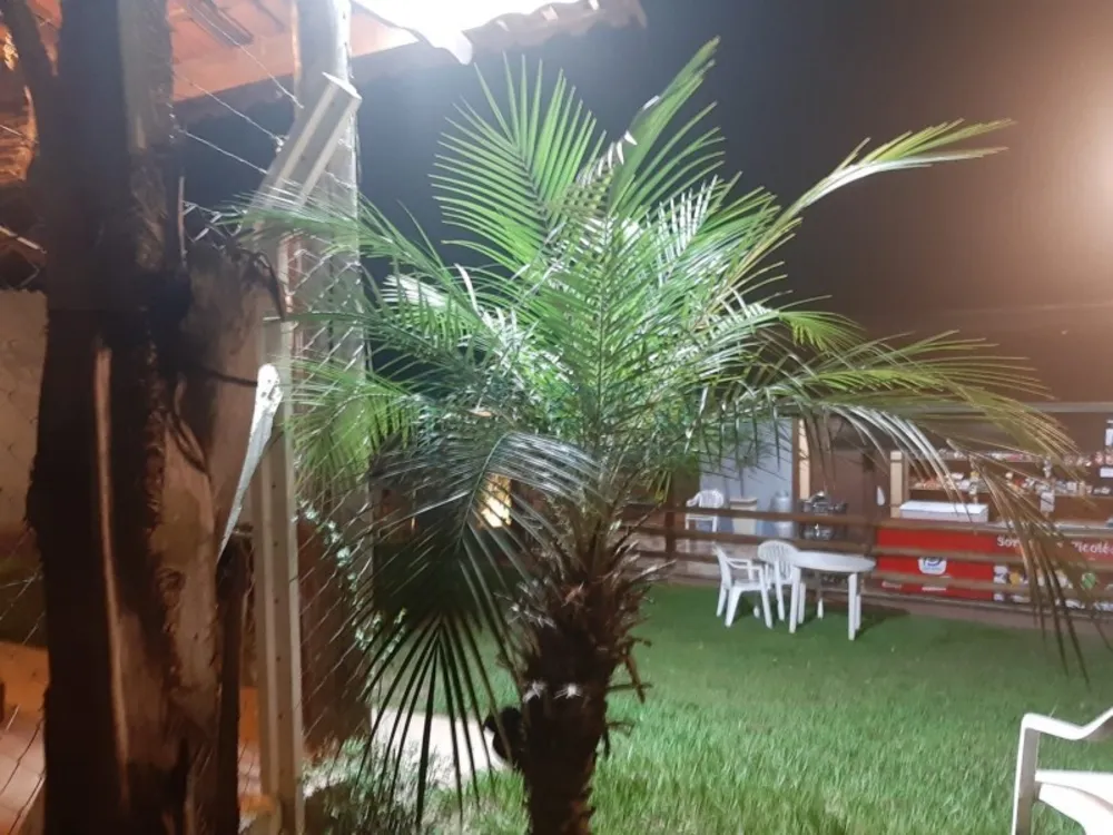 Chácara - Foto 5