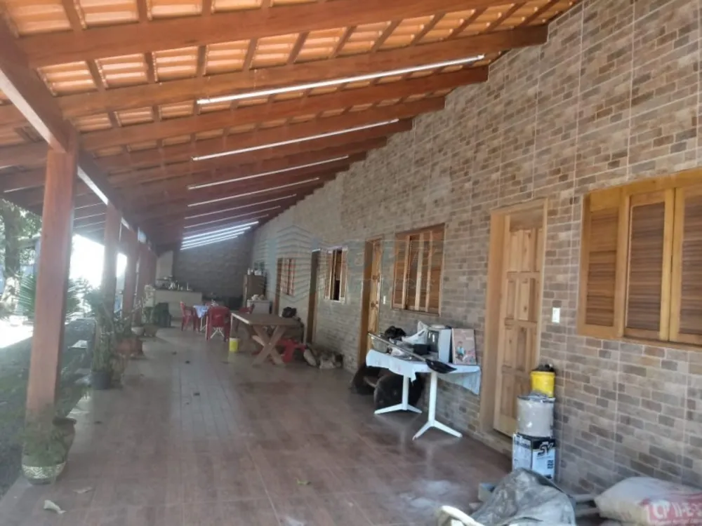 Sítio - Foto 5