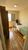 Apartamento, 2 quartos, 55 m² - Foto 6