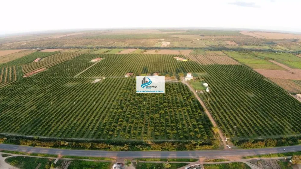 Fazenda - Foto 10