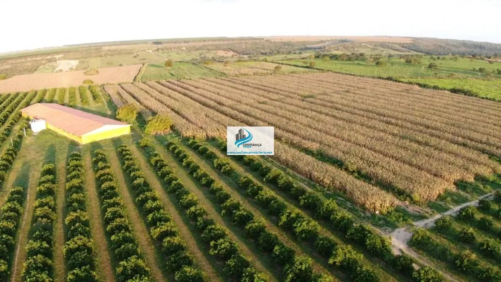 Fazenda - Foto 23