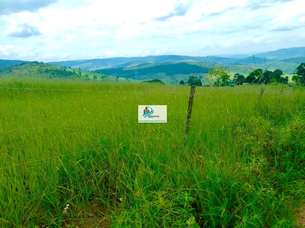 Fazenda, 174 hectares - Foto 4