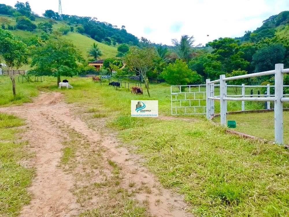 Fazenda, 174 hectares - Foto 7