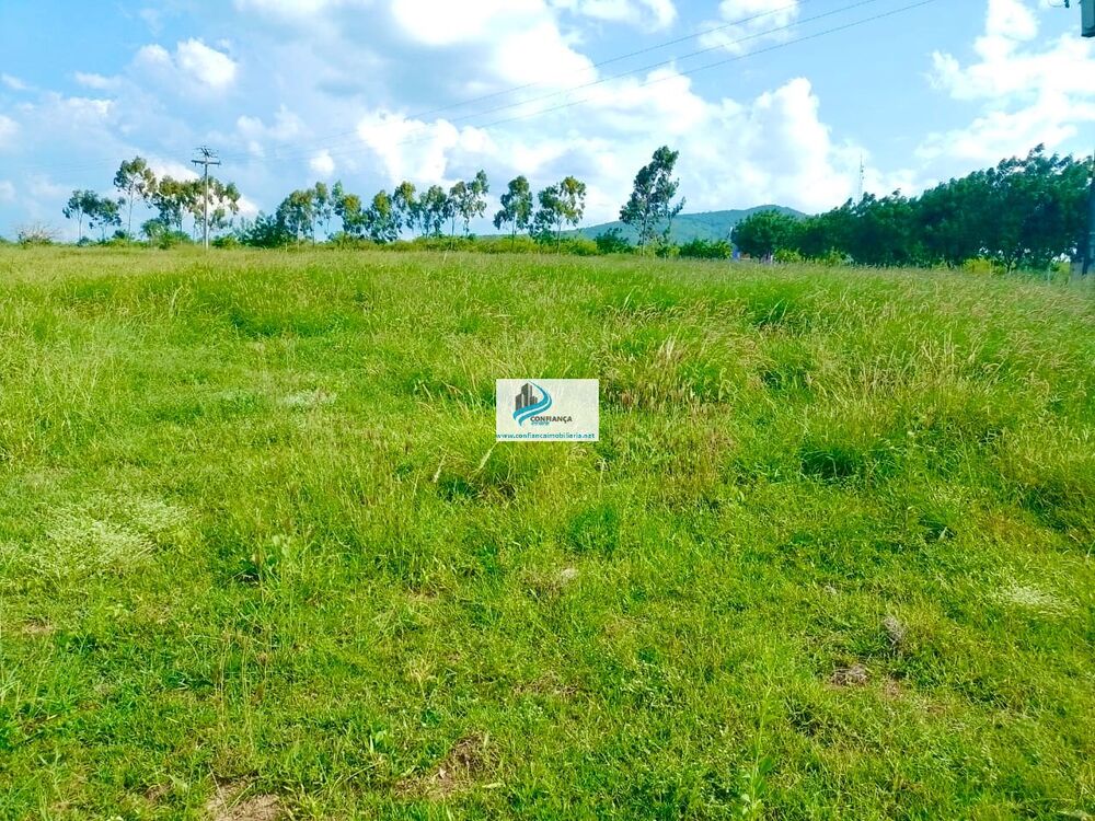 Fazenda, 174 hectares - Foto 1