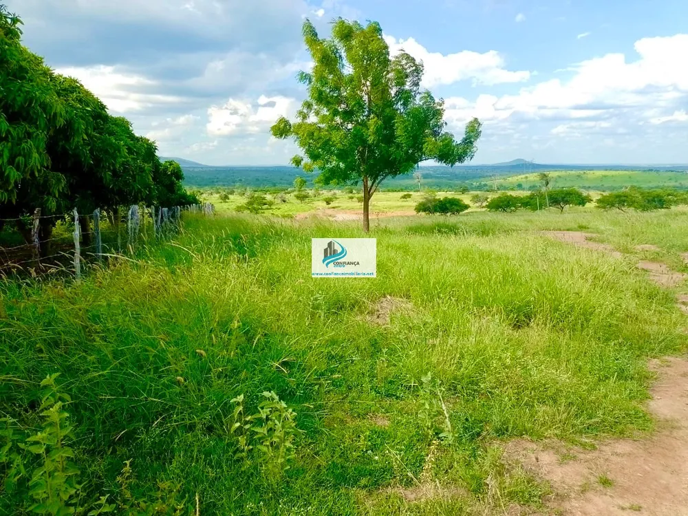 Fazenda, 174 hectares - Foto 15