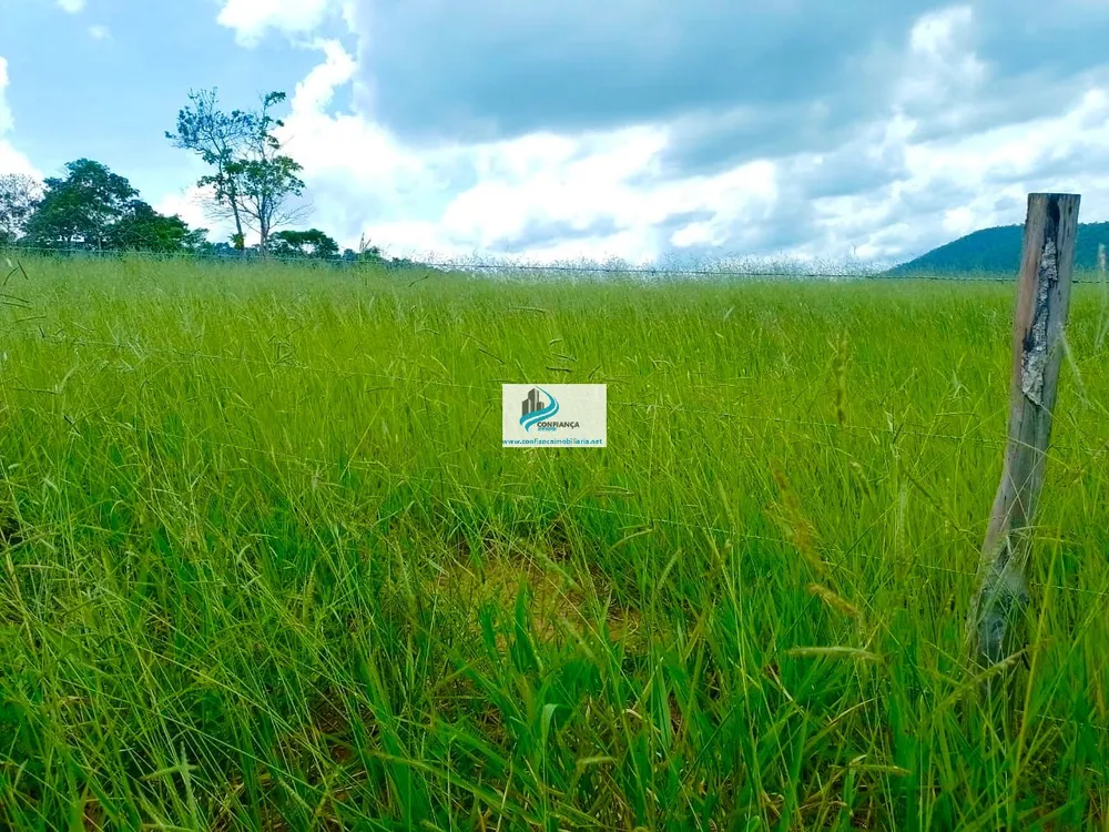 Fazenda, 174 hectares - Foto 13