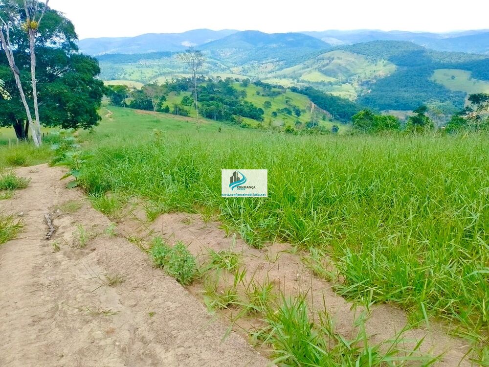 Fazenda, 174 hectares - Foto 2