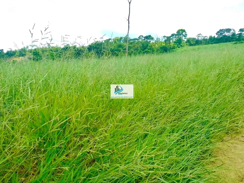 Fazenda, 174 hectares - Foto 14