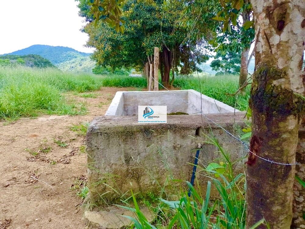 Fazenda, 174 hectares - Foto 3
