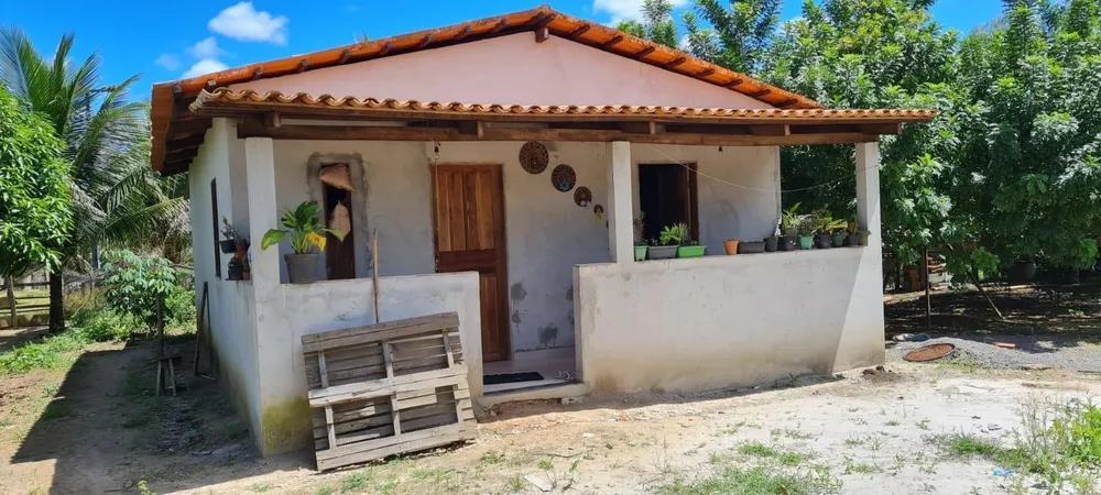 Sítio, 4 quartos, 90 hectares - Foto 20