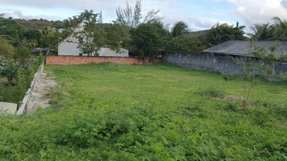 Terreno, 1000 m² - Foto 2