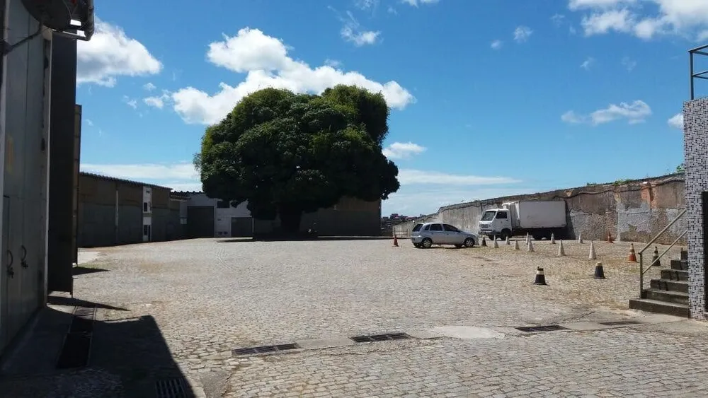 Depósito-Galpão, 20000 m² - Foto 11