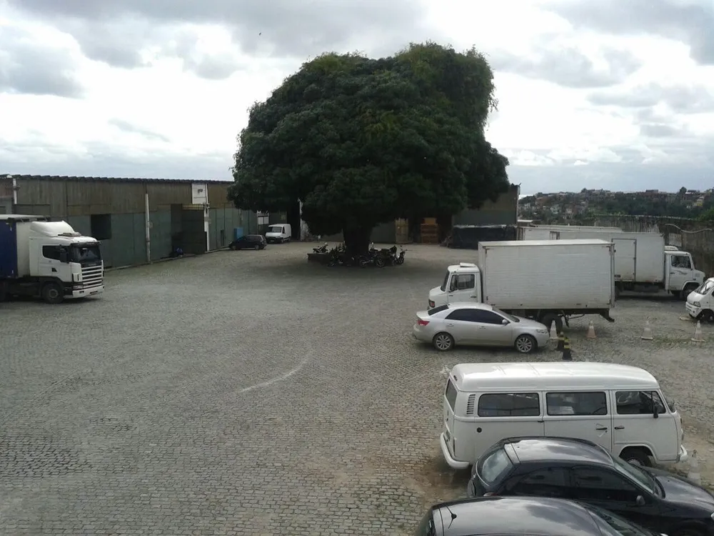 Depósito-Galpão, 20000 m² - Foto 8