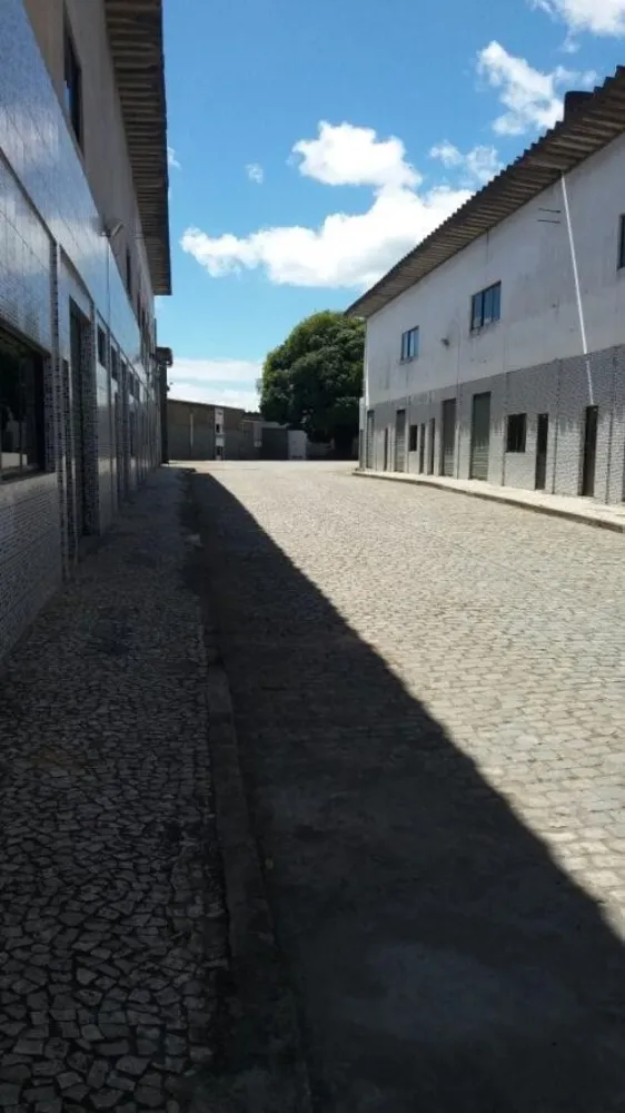 Depósito-Galpão, 20000 m² - Foto 12