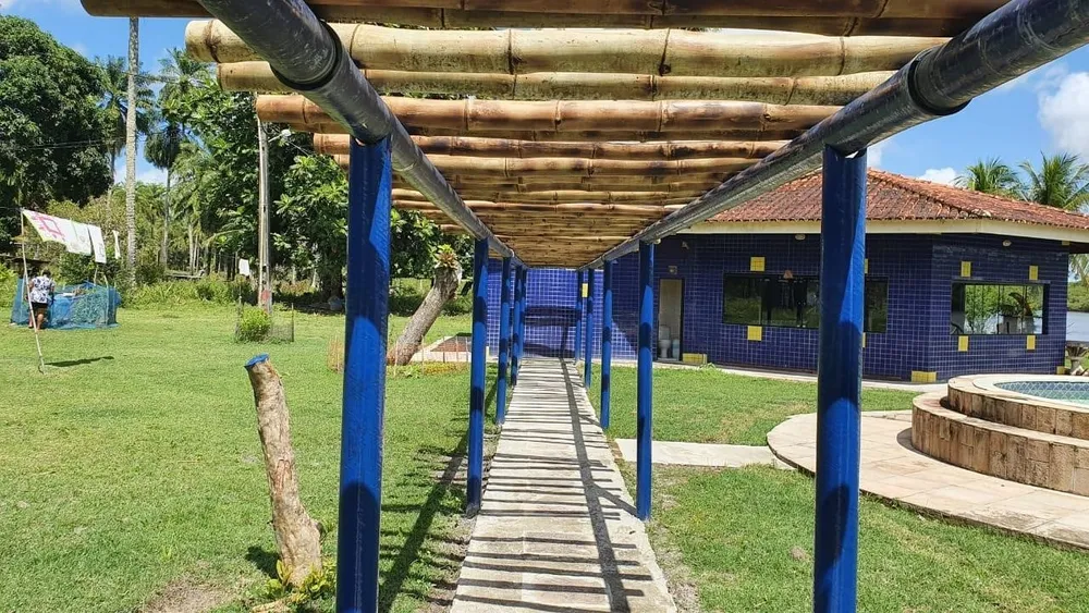Terreno, 100 hectares - Foto 8