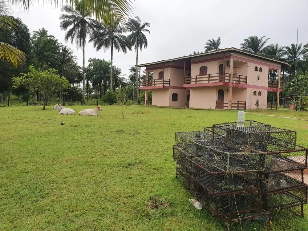 Terreno, 100 hectares - Foto 15