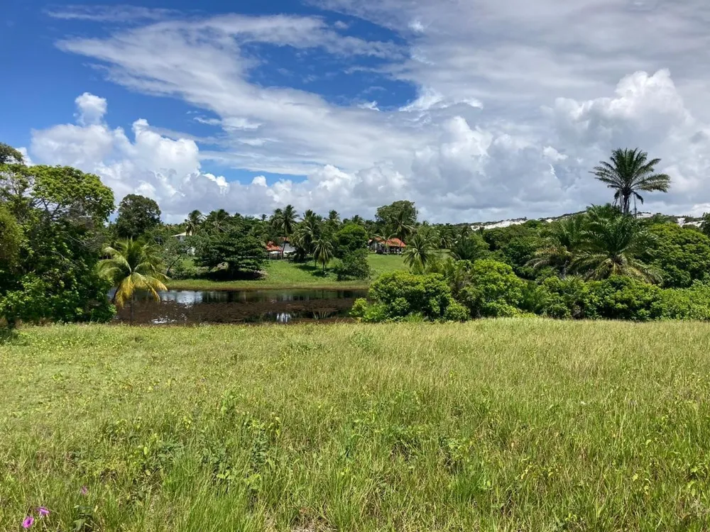 Terreno, 12 hectares - Foto 3