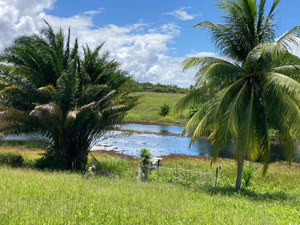 Terreno, 12 hectares - Foto 6