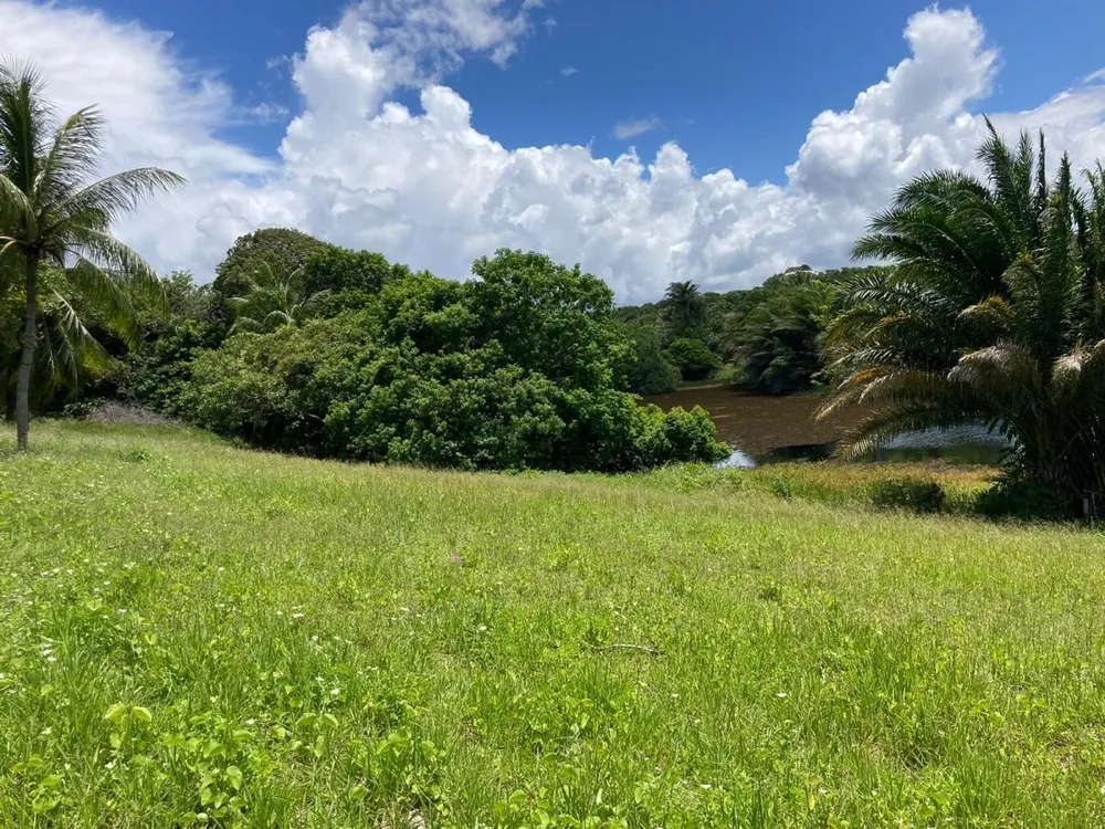 Terreno, 12 hectares - Foto 4