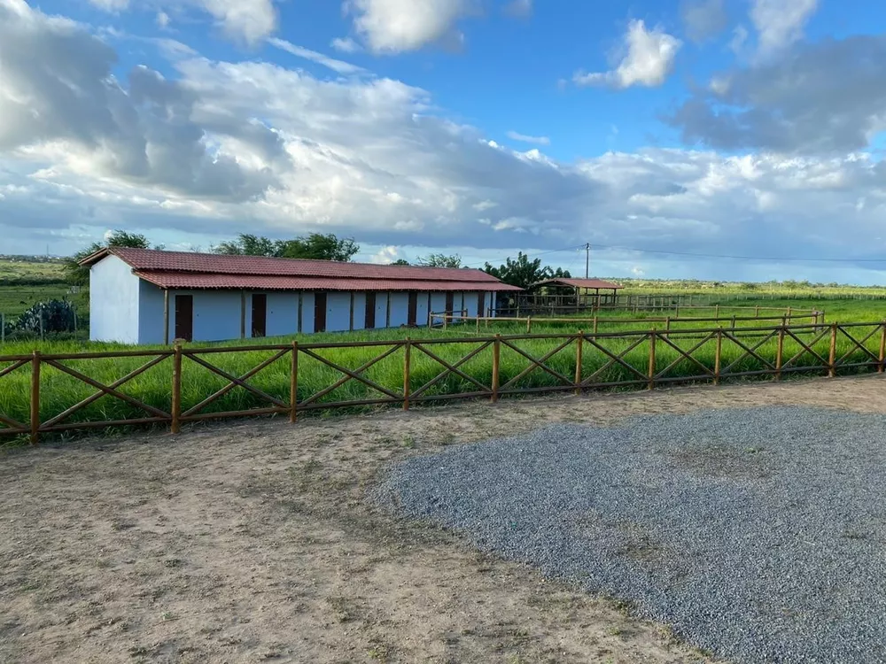 Sítio, 4 quartos, 2 hectares - Foto 8