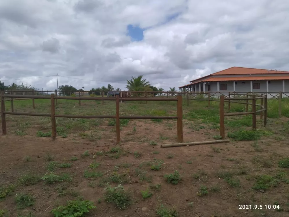 Sítio, 4 quartos, 2 hectares - Foto 19