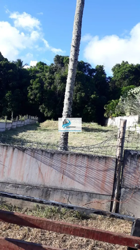 Terreno, 2450 m² - Foto 7