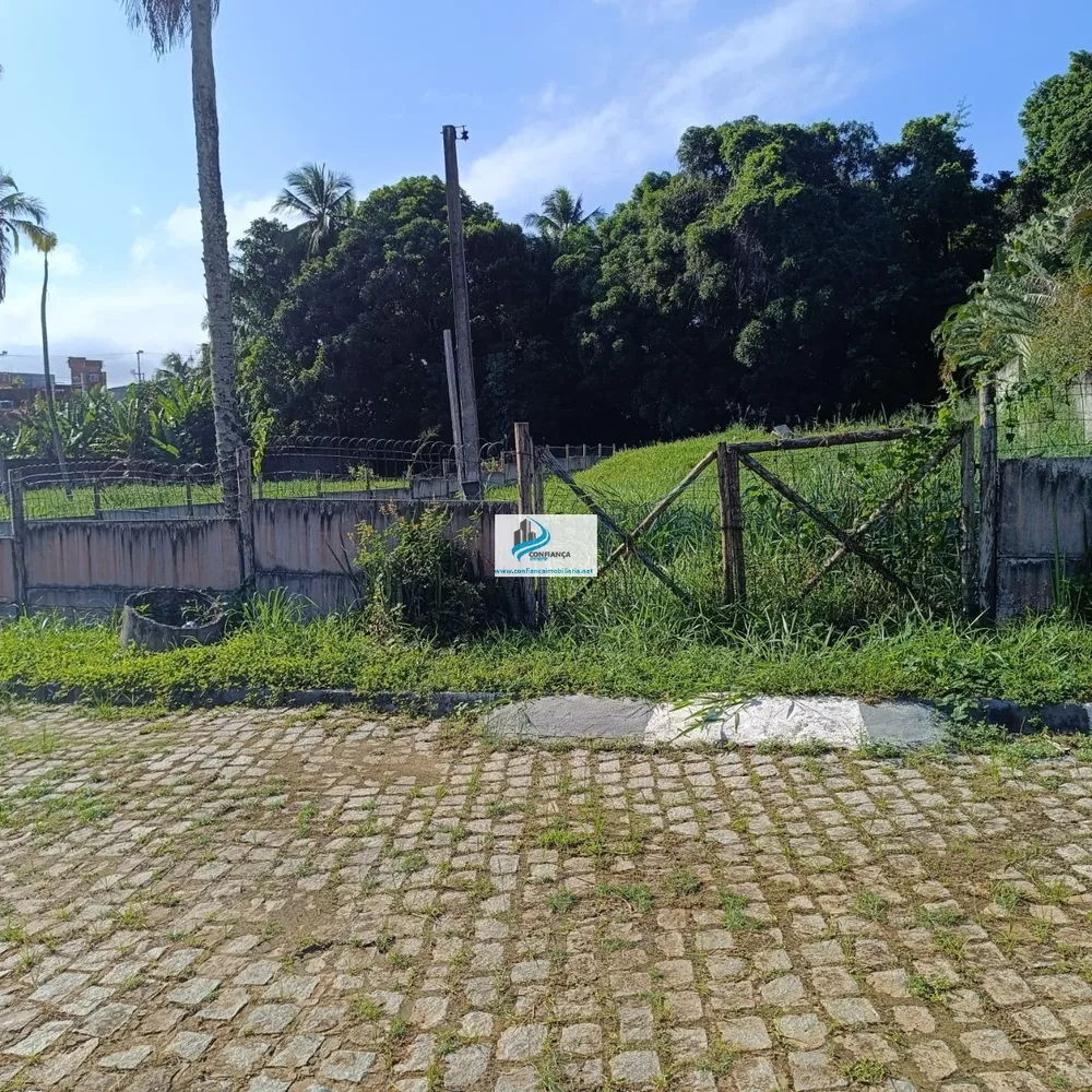 Terreno, 2450 m² - Foto 4