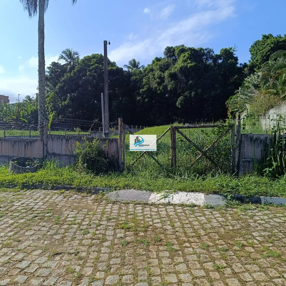 Terreno, 2450 m² - Foto 6