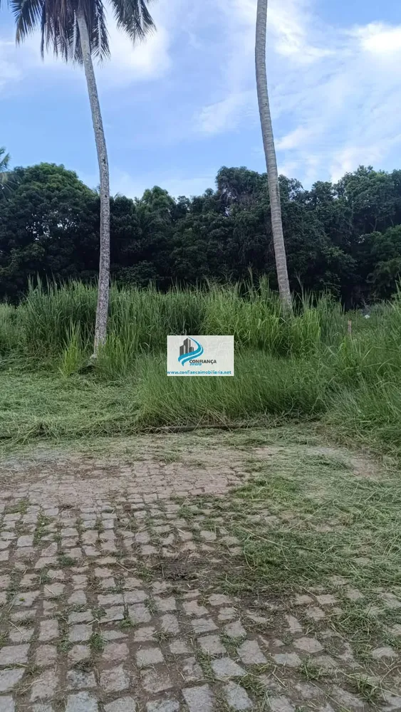 Terreno, 2450 m² - Foto 8