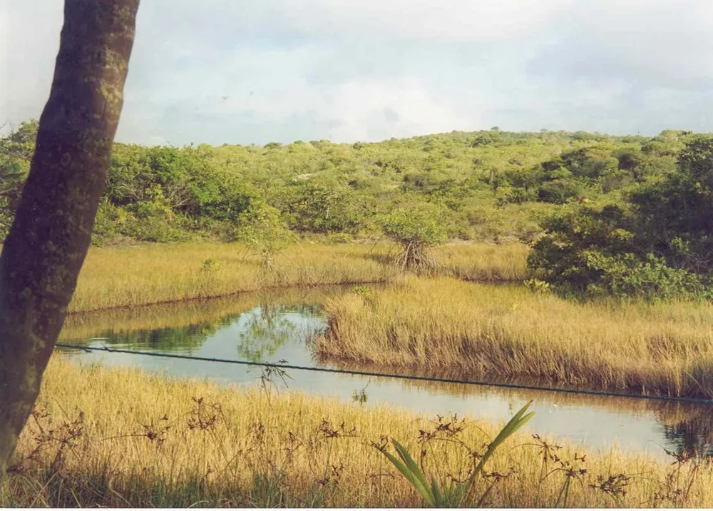 Terreno, 948 hectares - Foto 8