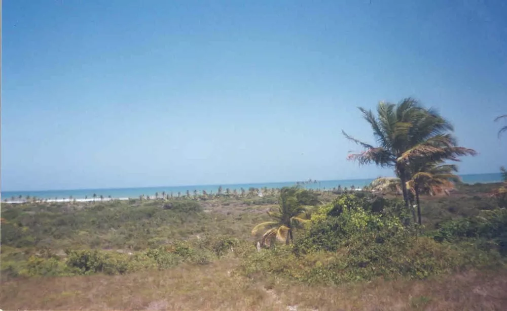 Terreno, 948 hectares - Foto 1