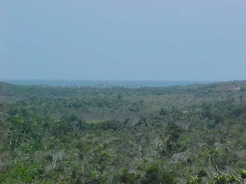 Terreno, 948 hectares - Foto 4