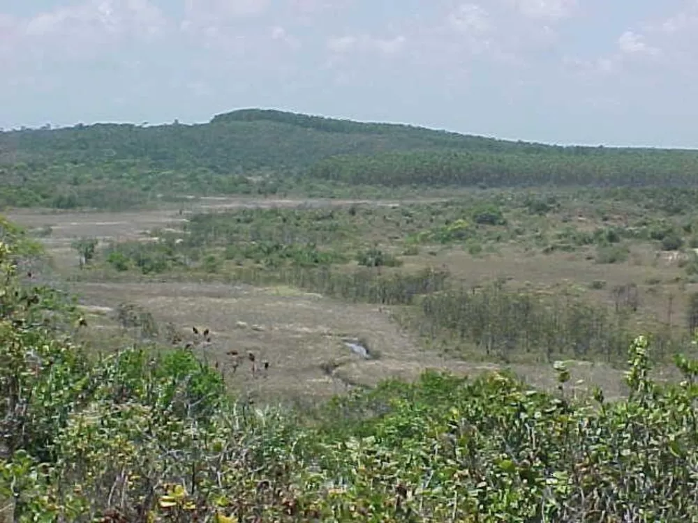 Terreno, 948 hectares - Foto 5