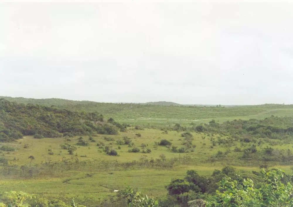 Terreno, 948 hectares - Foto 6