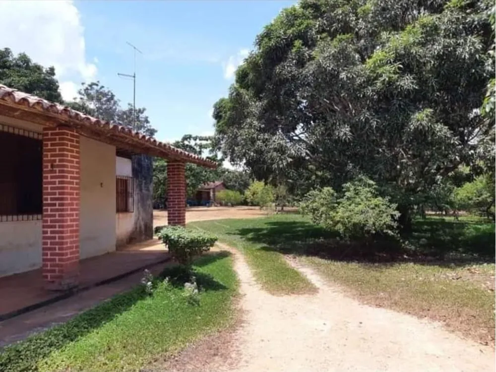 Chácara, 4 quartos, 1 hectares - Foto 3