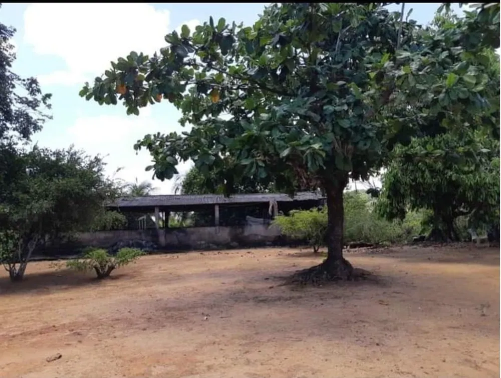 Chácara, 4 quartos, 1 hectares - Foto 2