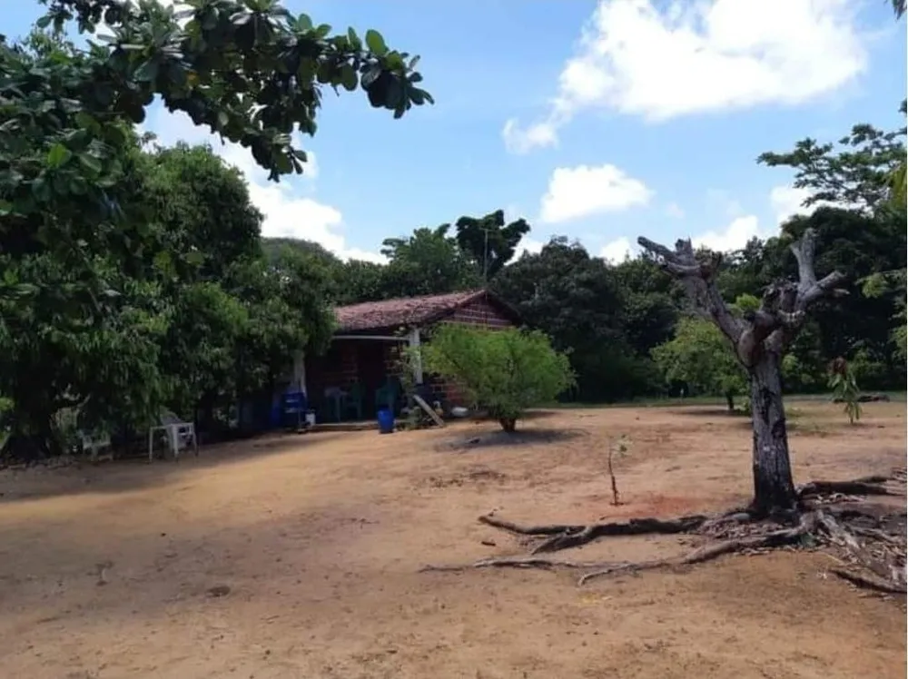 Chácara, 4 quartos, 1 hectares - Foto 7