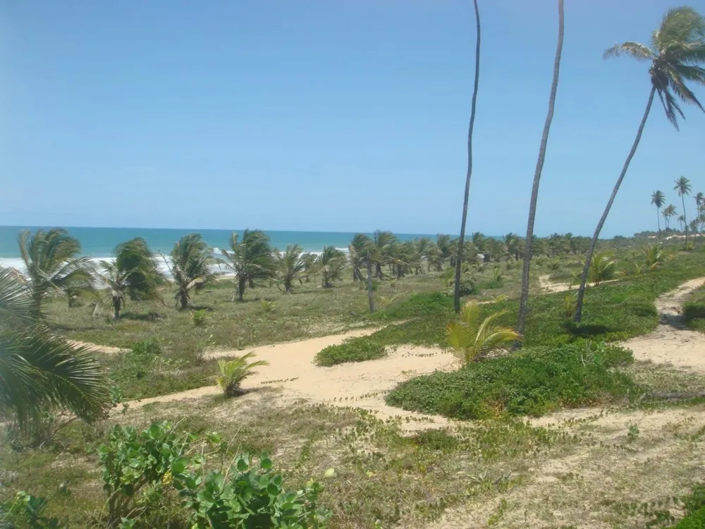 Terreno, 5 hectares - Foto 3