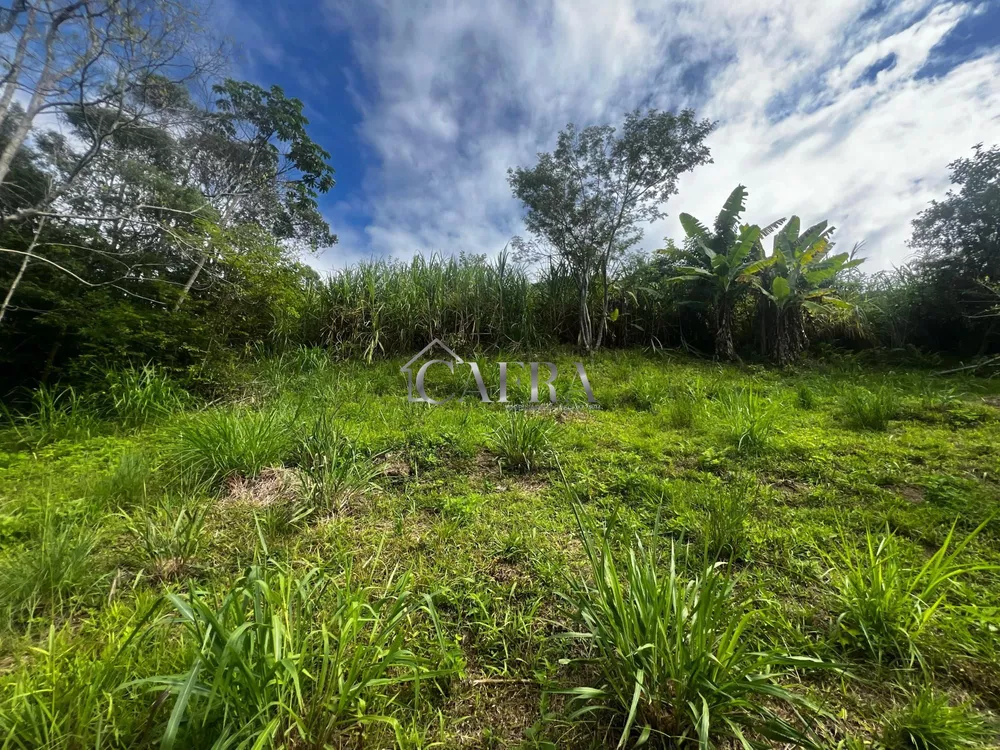 Chácara, 1 quarto, 800 m² - Foto 1