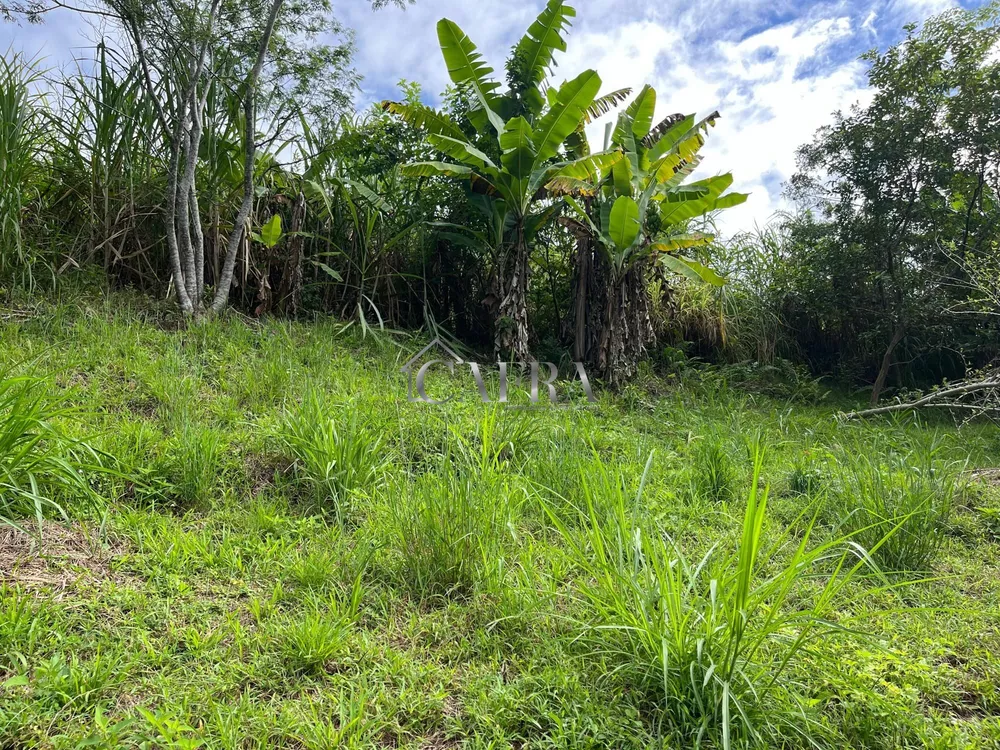 Chácara, 1 quarto, 800 m² - Foto 3