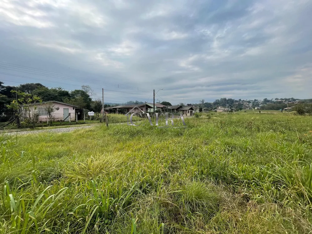 Sítio, 4 quartos, 680 m² - Foto 3