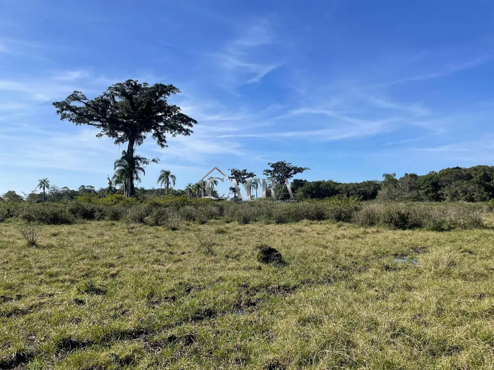 Terreno, 1500 m² - Foto 5