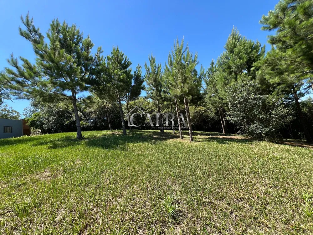 Terreno, 1000 m² - Foto 5