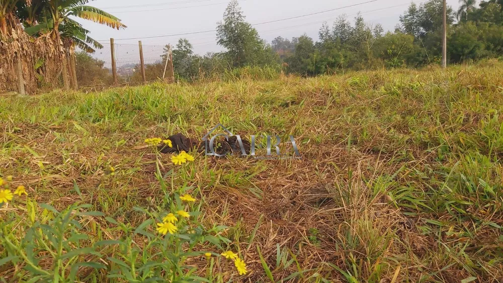 Chácara, 3 quartos, 1900 m² - Foto 2