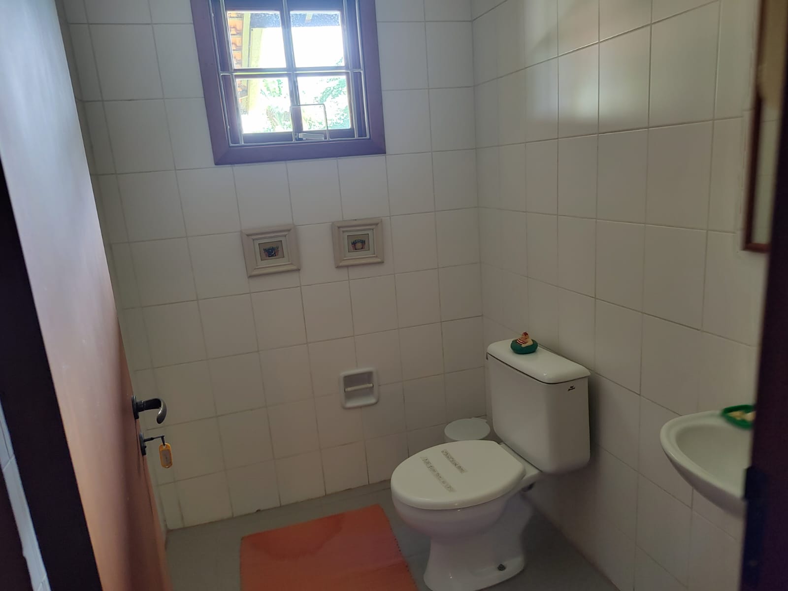 Chácara à venda com 3 quartos, 298m² - Foto 7